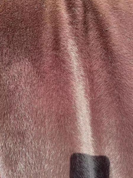Polyester Mink Cashmere Fabrics for Luxury dressing 50/75D yarn hand feeling soft more than 60 colors/AOP designs