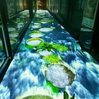 Chambre immersive en 3D Plancher holographique Projection interactive pour projet touristique