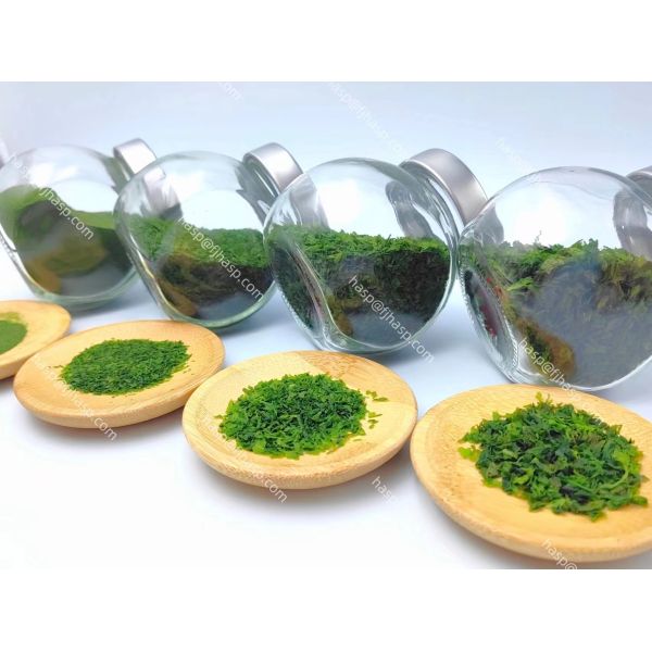 Umami Flavor Aonori Seaweed Powder Nutritional Information Rich In Vitamins And Minerals