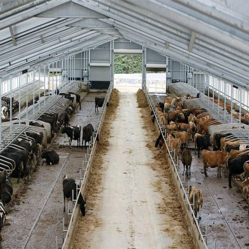 Steel Frame Prefabricated Goat Shed Q235B Q355B Steel Factory Shed