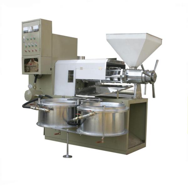 6YL 70 3kw 1.4m Automatic Oil Press Machine Cocoa Cold Press Commercial Industrial
