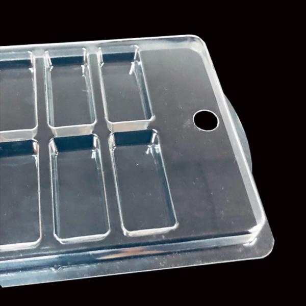PET Custom Clear Plastic Blister Packaging For Nail Art 10 Compartment Hinged Clamshell Case