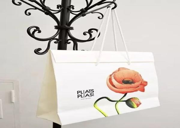 Beach/Swimming waterproof bag