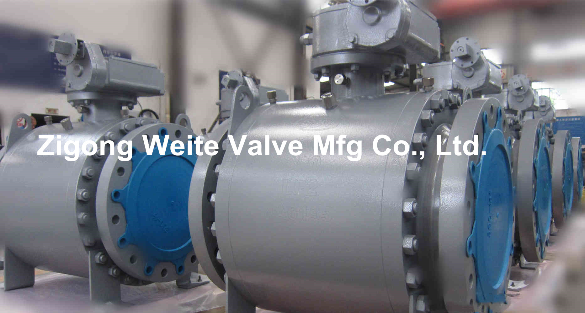 Клапаны нефтепровода кованой стали LF2