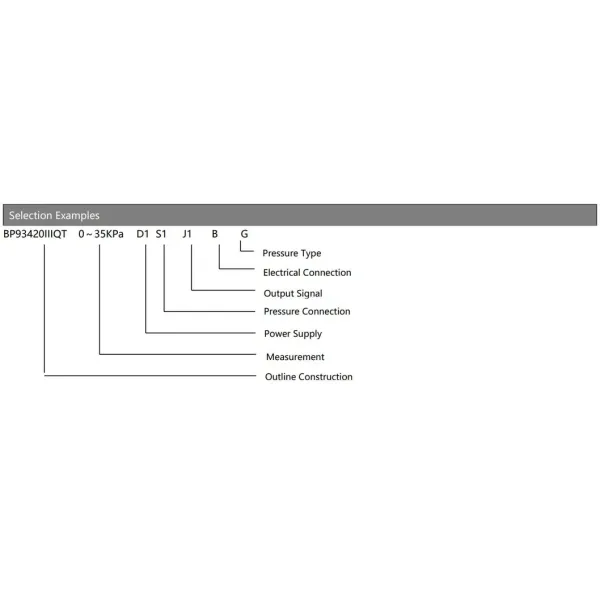 OEM High Temperature Digital Pressure Transmitter with LCD China Bp93420-IIIQT