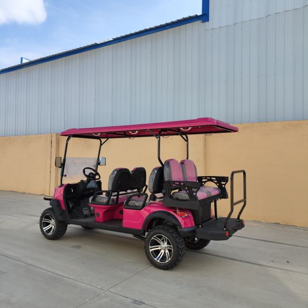 4+2 сиденья Гольф-коляска Внешний вид Модный дизайн Высококлассные горячие продажи 3.5/4/7Kw Улучшения производительности