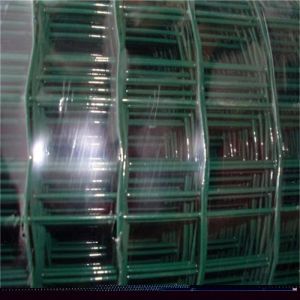 Rot Proof PVC Coated Euro Wire Mesh Fence with 50x50mm Mesh Size for Garden and Farm