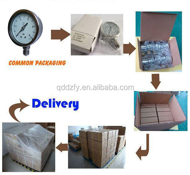 Измеритель высокого давления 60 мм 100 мм с лучевой трубкой воды