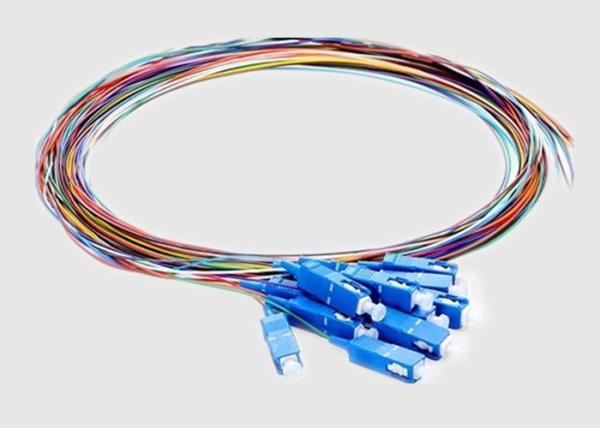 trança da fibra ótica 10Gbps