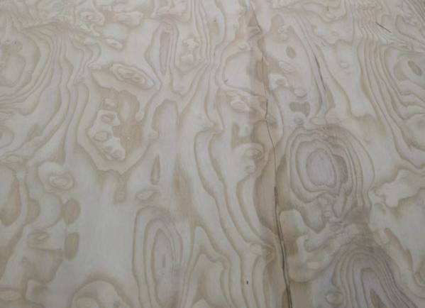 0.5mm Thick Ash Burl Veneer Natural Veneer For High End Furniture