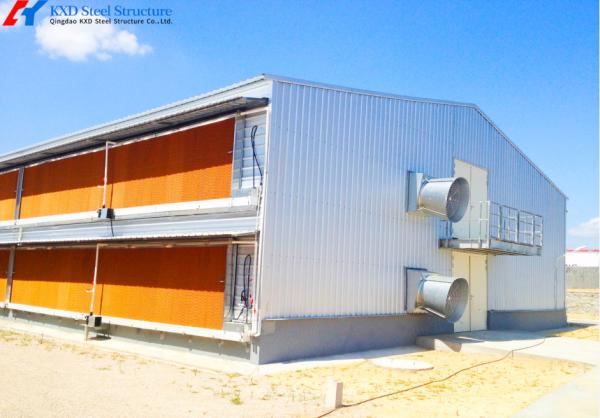 Galvanized Steel Poultry Shed for Large-Scale Chicken Farming