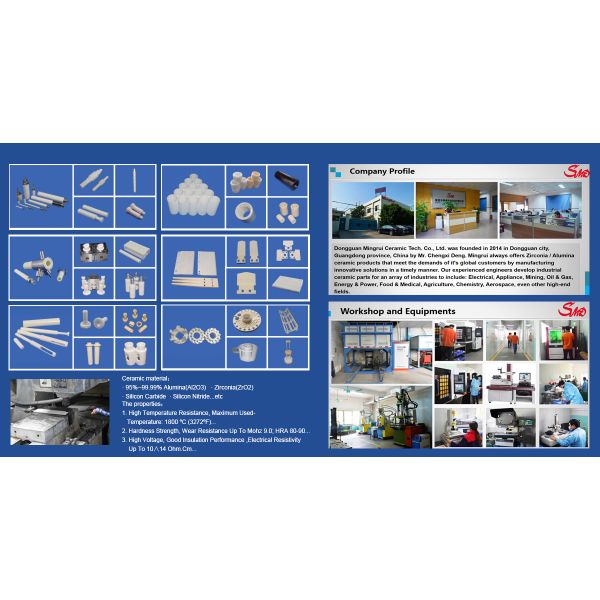 Précision usinant les composants disponibles en céramique de Carbore de pièces d'alumine de silicium en céramique de zircone pour des équipements