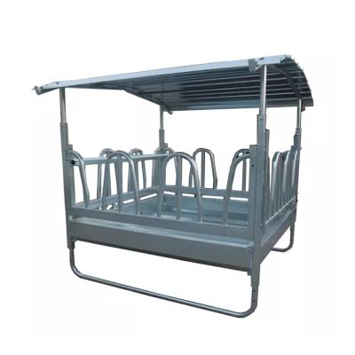Gado que alimenta os rebanhos animais galvanizados que cercam Hay Feeder Powder Coated