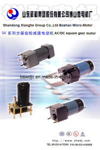 Gear Motor