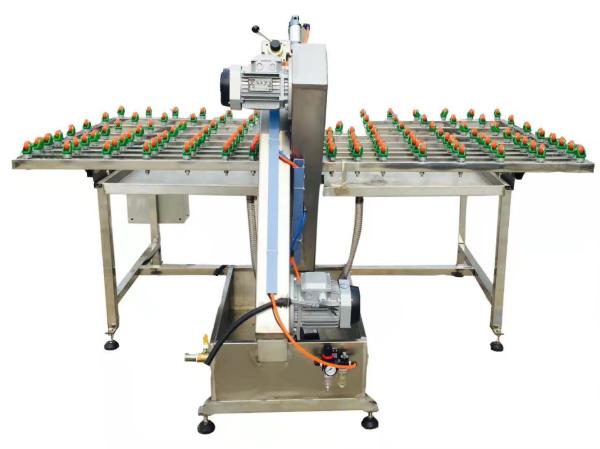 Glass Belt Grinding Machine Processing Machine CE Certificate Mechanical Text Report