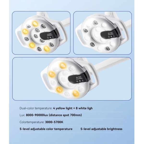 Dental Surgical LED Lamp for Dental Chair Oral Therapy Lamp12pcs Dual-color LED Dental Light