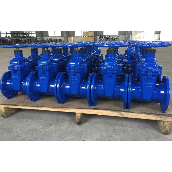 DIN3352 resilient seal cast iron PN16 gate valve