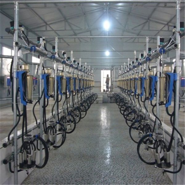 Flow Milk Meter Herringbone Milking Parlor System with ACR Automatic Cluster Remover and Waikato Milk Meter for Cows