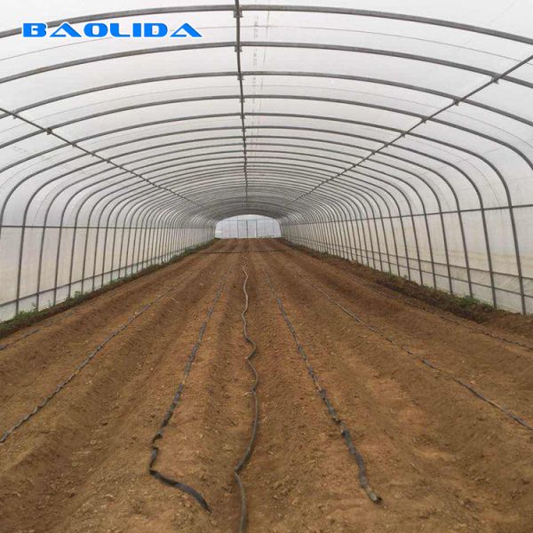 Стабилизированный парник завода парника фильма полиэтилена структуры/томата овоща