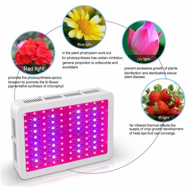 31cm 7200lm Full Spectrum LED Grow Lights 600 Watt Red Blue White UV