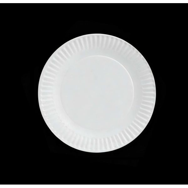 Biodegradable Disposable Paper Plates Ecofriendly Heavy Duty Round Design Suitable Catering Events Parties Picnics and Outdoor