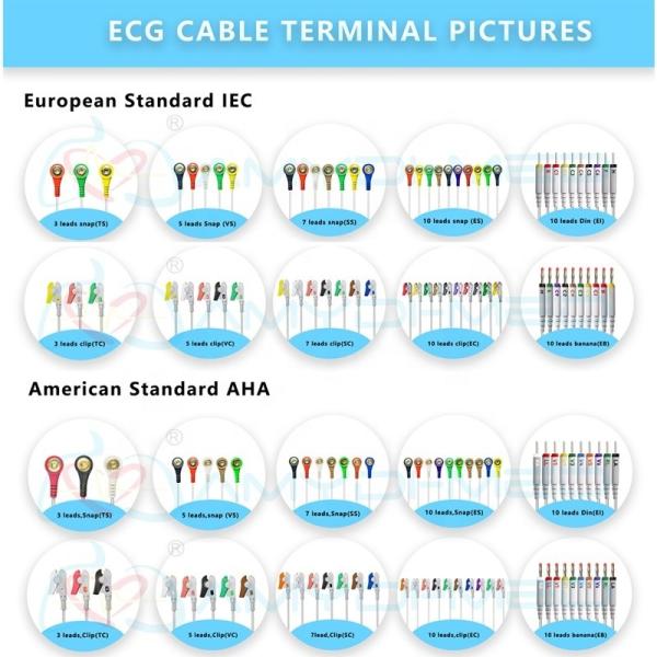 Medical Holter Cable DMS 300-3A 10 Leadwires Holter ECG Cable Surgical Suppliers