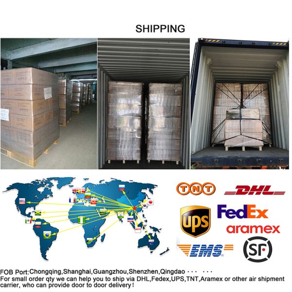 23 Oz Pilsner Beer Glasses