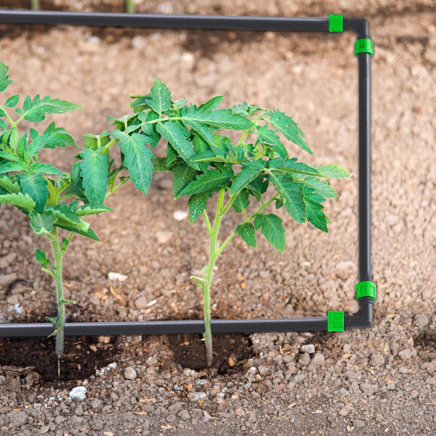 Труба соединяет дюйм отключенного клапана 1/2 полива штуцеров ленты потека