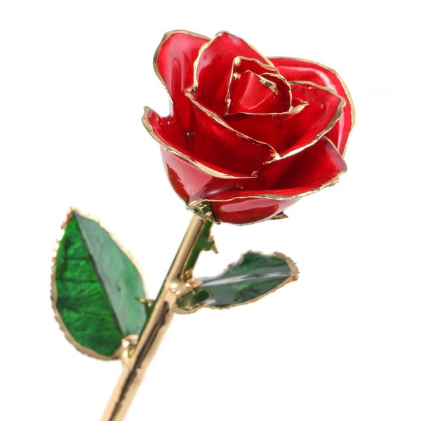 24k Gold Plated Rose Red Eternal Rose Gift Manufacturer Wholesale Valentine's Day Christmas Creative Ornaments