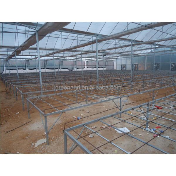 Film Type Multi Span Greenhouse Wide Span Greenhouse With Steel Skeleton And Shoulder Height 2m