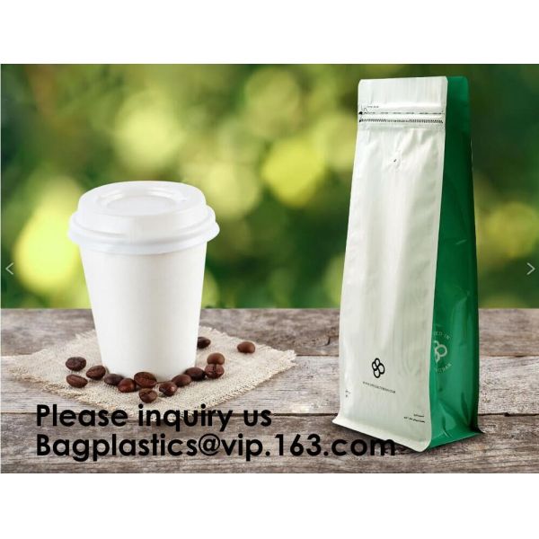 ULTRA CLEAR STAND UP POUCH WITH ZIPPER & EURO SLOT MEASURING SCOOP SEALERS VACUUM POUCHES MAILER BAGS CUSTOM & PRINTED