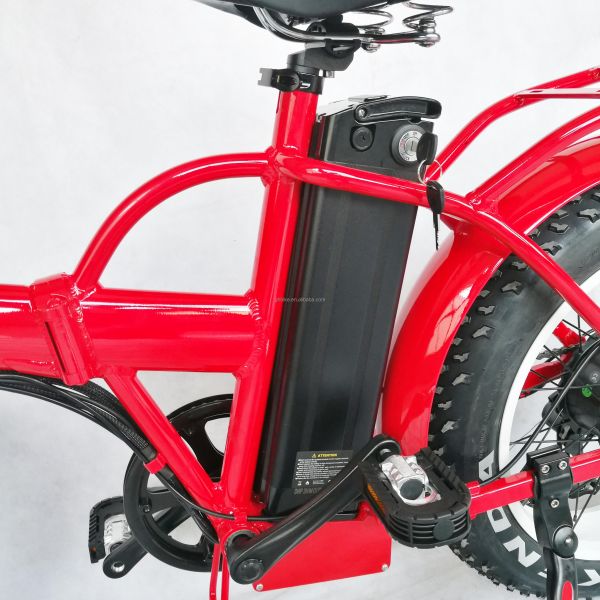 1000W 48V 21AH 7 Speed Disc Brake 20