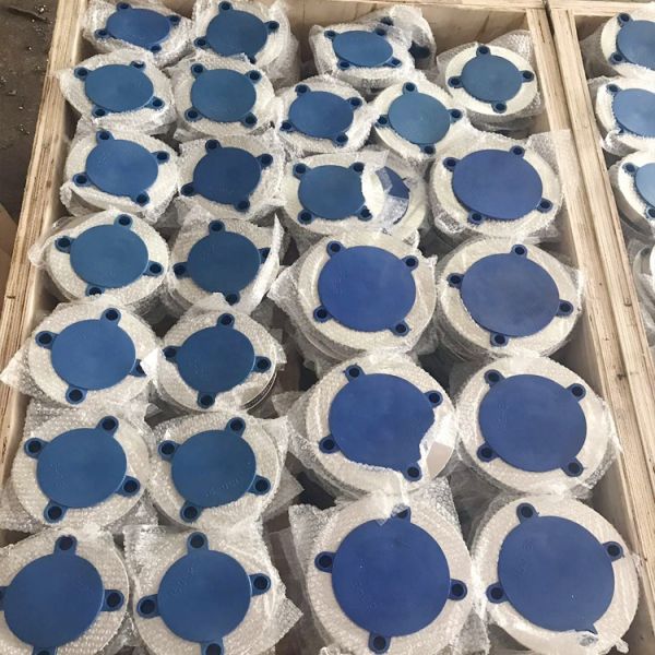 BS4504 Standard ASTM A182 2 Inch Pipe Flange 304l 316l 201 904 2205