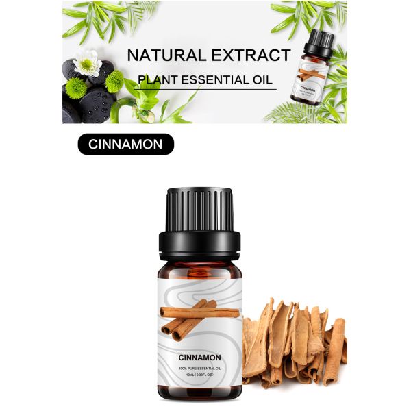 Чистая органическая ранг эфирного масла 10ml MSDS лаванды циннамона косметическая для свечи