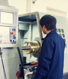 JIAXING VIIPLUS INTERNATIO NAL CO.,LTD