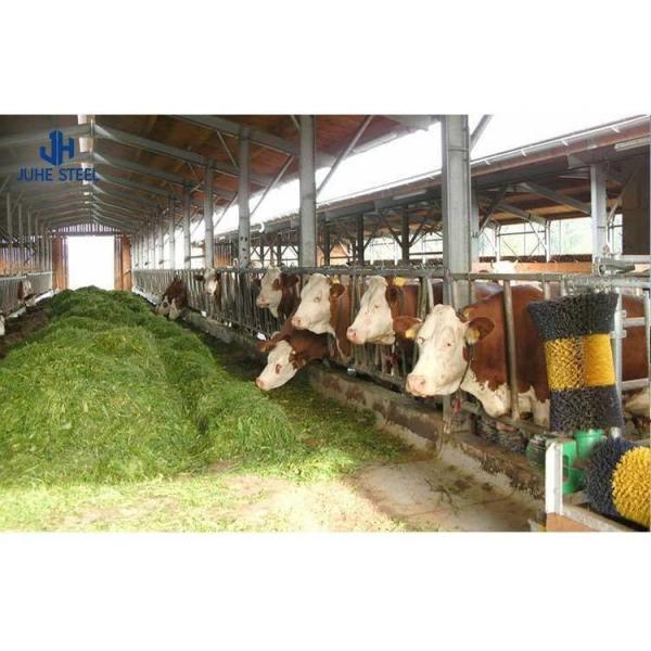 Prefabricated Steel Cow Milk Farm House with Sandwich Panel Roofing and Rolling Door