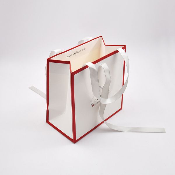 Customized Packaging Custom Paper Shopping Bags With Offset Printing