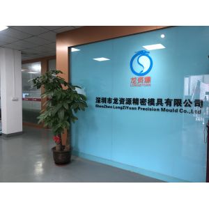 Shenzhen Longziyuan Precision Mould Co.,Ltd