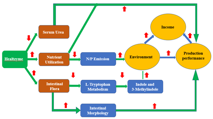 Habio Healtzyme Enzyme+Probiotic For Animal Health And Environmental Improvement