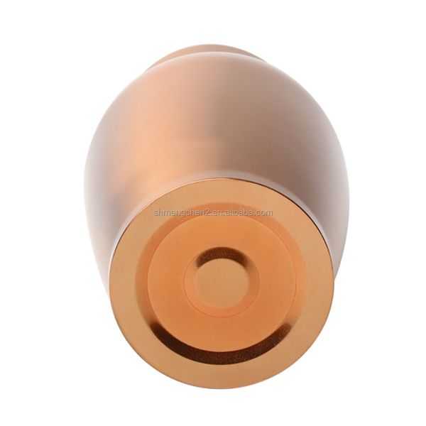 500ml Stainless Steel Urn for Cats Durable and Fashionable Cremation Ashes Memorials