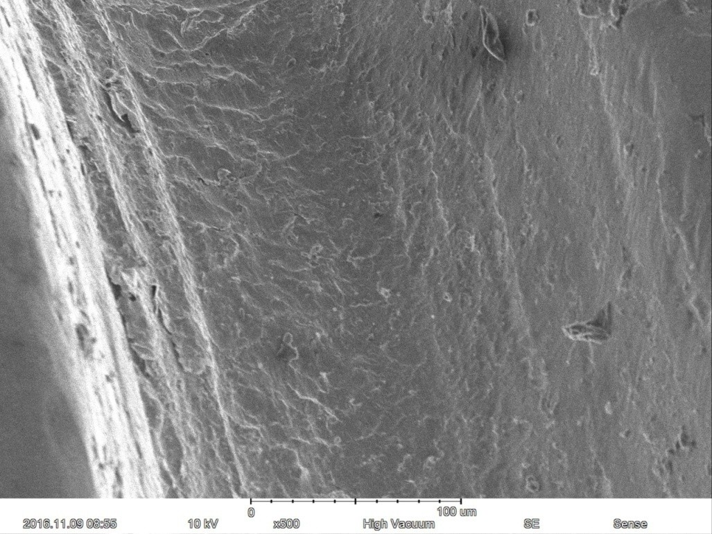 Разрешение опционный EDS электронного кинескопа 15nm сканирования 60000X увеличения максимальное