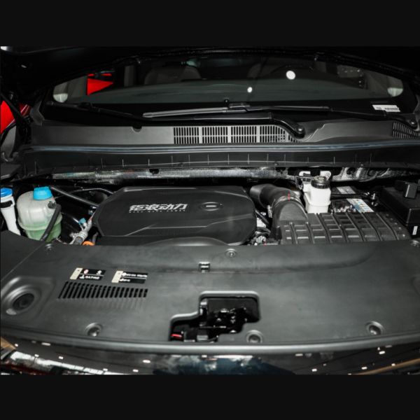 Подержанные автомобили 2021 Trumpchi M8 Большая вместимость 7 мест