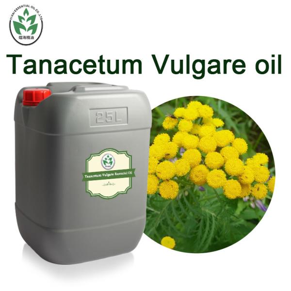 CAS 8016-87-3 Wholesale price Tanacetum annuum oil 100% pure natural organic blue tansy essential oil