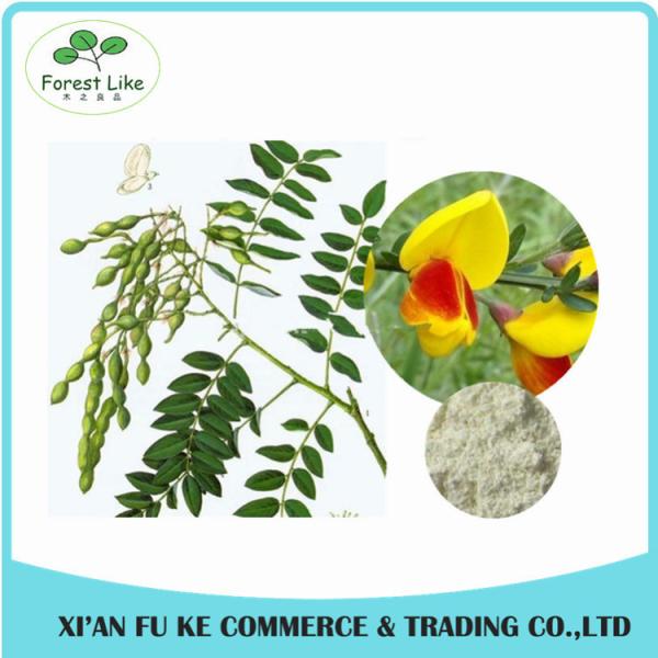High Quality GMP Standard China Product Acacia Wood Bark