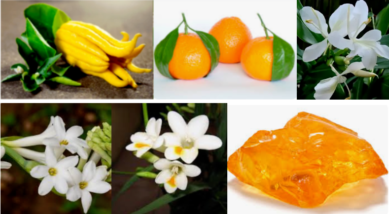 Pure Sweet Ginger Lily Essence For Body Perfume Yellowish Fragrance Type