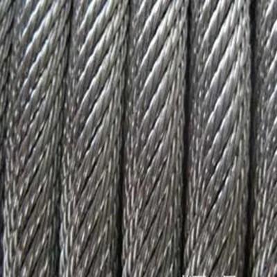 Special Cold Heading Steel 2mm 7x7 Galvanized Wire Rope for Pergola Construction