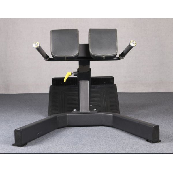 Salle de sport 45 degrés machine d'extension du dos chaise romaine banc de gym à vendre