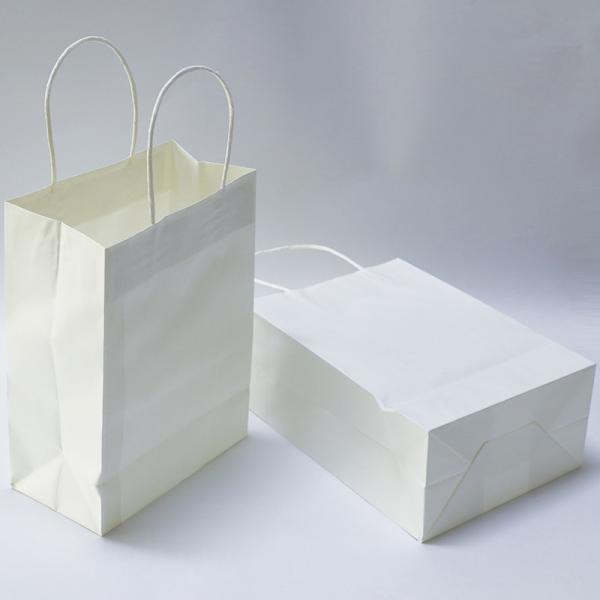 5kg Printed Paper Carrier Bags