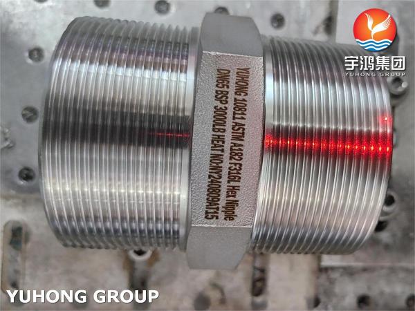 ASTM A182 F316L BSP Union Hex Nipple Pressure Forgings