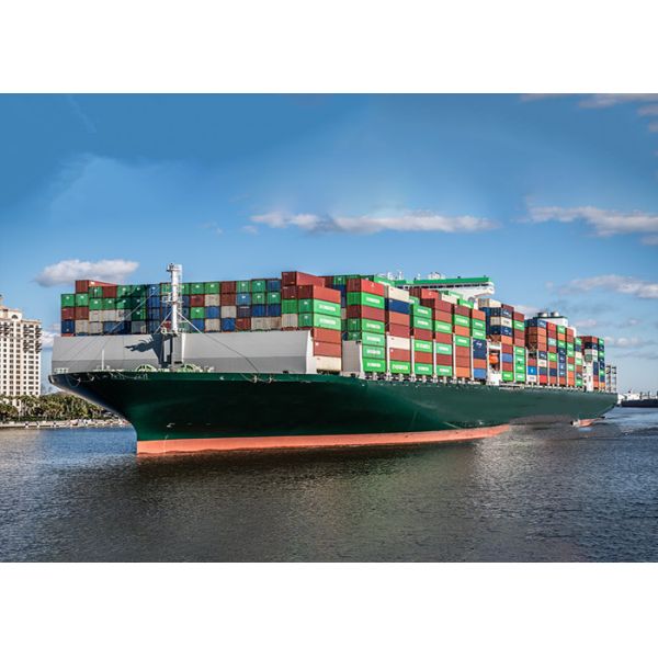 NVOCC Qualification Import Freight Forwarder With Warehousing To Trieste